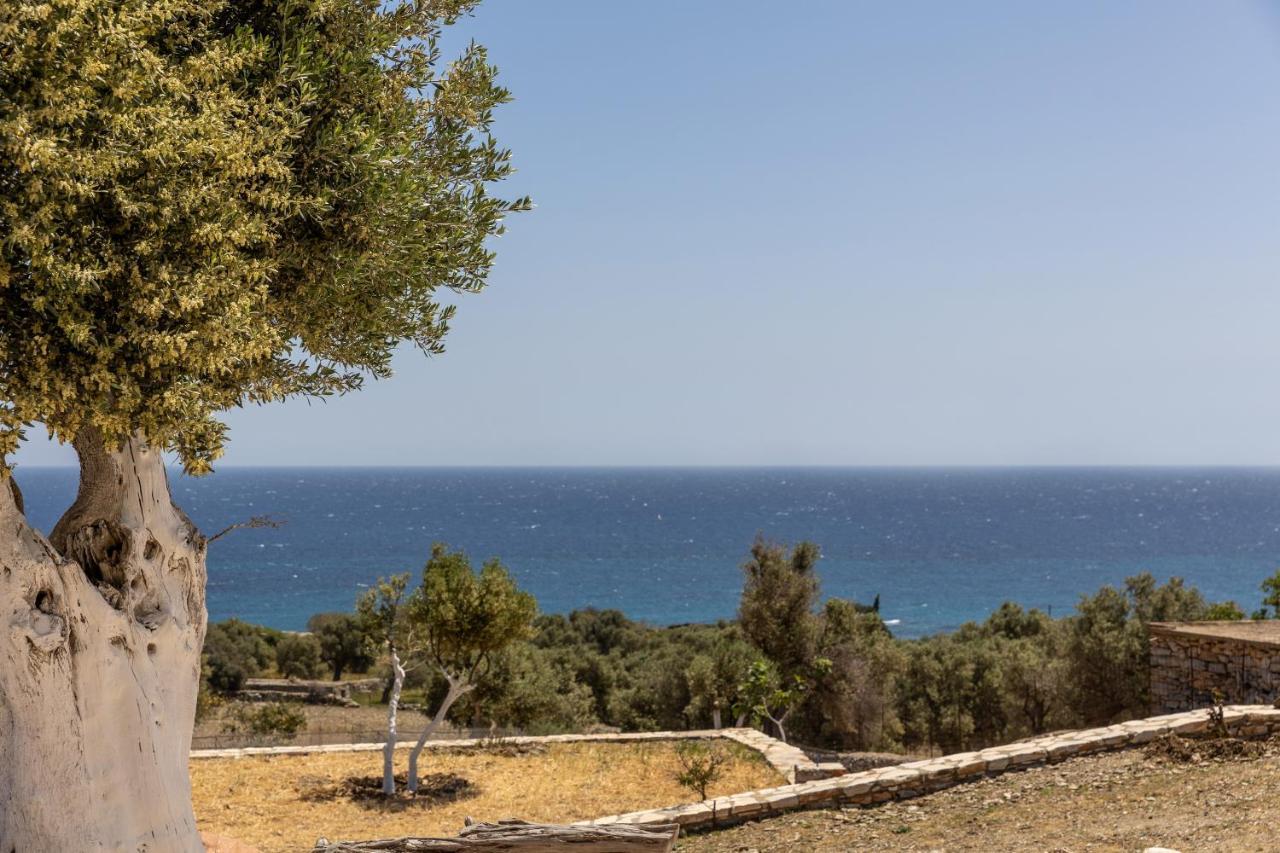 Moutsoúna Ligaridia Apartments מראה חיצוני תמונה